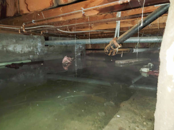 Best Emergency water extraction  in Depoe Bay, OR