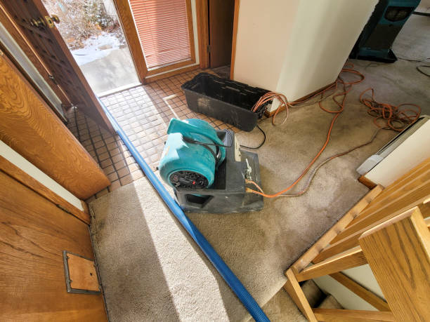 Best Residential water damage restoration  in Depoe Bay, OR