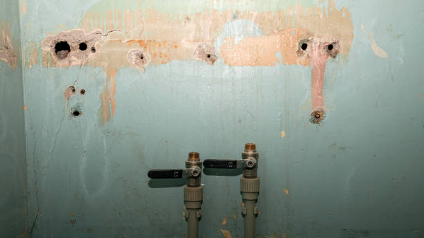 Best Water damage contractors near me  in Depoe Bay, OR